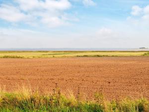 un campo vacío con hierba y un cielo azul en 5 person holiday home in Ulfborg, en Ulfborg