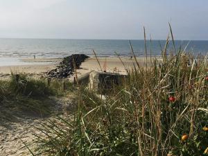 ブラーバンドにある10 person holiday home in Bl vandの海を背景に広がる砂浜