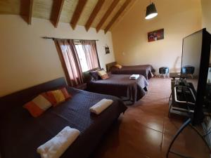 Patagonia Bordelago في Puerto Ingeniero Ibáñez: غرفة معيشة بها سريرين وأريكة