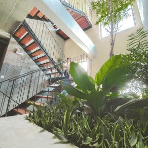 a staircase in a building with a bunch of plants at Cagina Boutique Hostel in Dong Hoi
