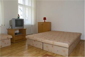 a bedroom with a bed and a tv at Hyde Park Hostel in Bratislava