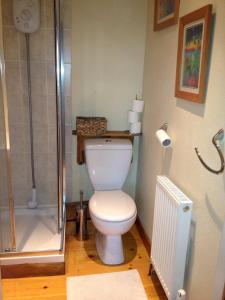 a bathroom with a white toilet and a shower at Avebury Life in Avebury