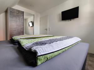 um quarto com uma cama e uma televisão na parede em Ferienwohnung in der Mainleite für Zwei em Baunach