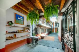 a hallway of a house with a staircase and plants at Hotel Valle Bonito, Valle de Bravo in Valle de Bravo