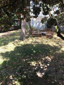 un groupe de bancs assis sous un arbre dans l'établissement La VILLA en BAIE, au Crotoy