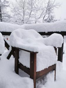 Hakuba Powder Republic v zimě