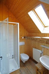 La salle de bains est pourvue de toilettes, d'une douche et d'une lucarne. dans l'établissement Gutshaus Thorstorf FeWo Wolenberger Wiek, à Warnow