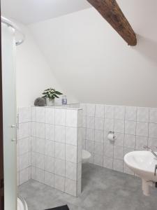 Kúpeľňa v ubytovaní Apartmany 123