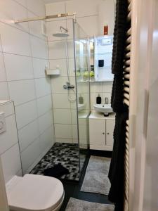 y baño con ducha y aseo. en Fewo-Alter en Wilhelmshaven
