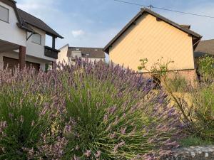 a garden with purple flowers in front of a house at Home Feeling trierweiler in Trier