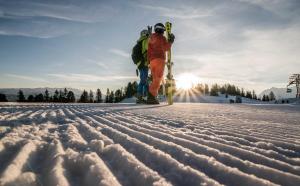 Fotografie z fotogalerie ubytování Appartements Steinbock - Ski-In & Ski-Out na Tuxu