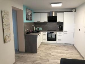 Kuchyň nebo kuchyňský kout v ubytování Ferienwohnung Am Gondelteich