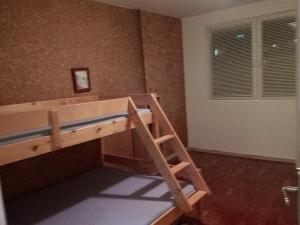 a bedroom with a bunk bed with a ladder at Просторен и добре обзаведен апартамент Oborishte 39 str in Plovdiv