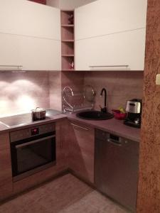 a kitchen with a sink and a stove top oven at Просторен и добре обзаведен апартамент Oborishte 39 str in Plovdiv