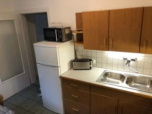 eine Küche mit einem weißen Kühlschrank und einer Mikrowelle in der Unterkunft Ferienhaus Vera in Obervellach