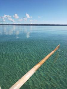 a wooden paddle in the water on a lake at Strandmarken in Island Beach