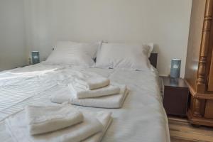 Postel nebo postele na pokoji v ubytování Casa Astilean