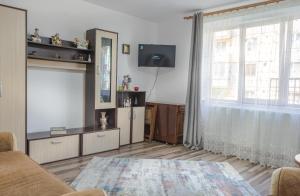 TV a/nebo společenská místnost v ubytování Casa Astilean