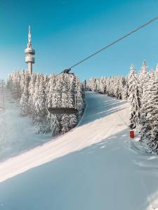 a ski lift with snow covered trees and a tower at Hotel Elitza in Pamporovo