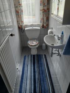 a small bathroom with a toilet and a sink at Ferienwohnung Dreiländereck in Haidmühle