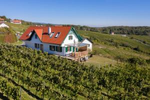a house in the middle of a vineyard at Kellerstöckl Weinblick I und II in Eisenberg an der Pinka