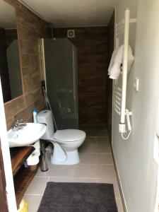 a bathroom with a toilet and a sink and a shower at Balatoni Présházikó in Szőlősgyörök