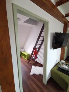 Televiisor ja/või meelelahutuskeskus majutusasutuses Alte Bäckerei