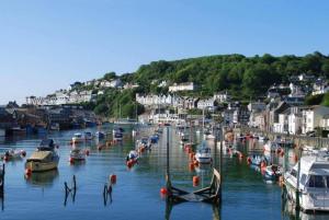 a bunch of boats are docked in a harbor at Talehay Cottages in Looe