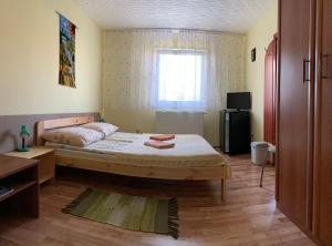 
a bedroom with a bed and a television at Eko Penzion Leo in Dudince
