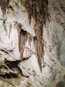 a rock wall with some seaweeds hanging from it at Hotel Oceano in Marina di Pietrasanta