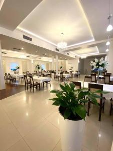 a large dining room with tables and chairs and plants at Hotel Magnolia in Kielce