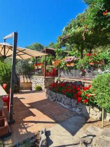 ein Garten mit roten Blumen und einem Regenschirm in der Unterkunft Piccolo Feudo Green Resort only adult in Viterbo