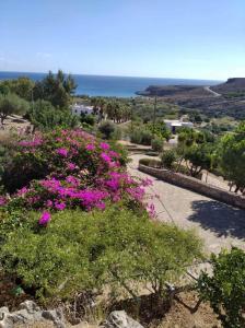 a garden with pink flowers and the ocean in the background at Anthia Apartment Sea View in Kato Zakros