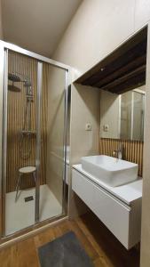 bagno con lavandino, doccia e specchio di Casas del Castillo, 2 ad Ávila