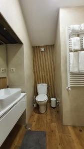 a bathroom with a white toilet and a sink at Casas del Castillo, 2 in Avila