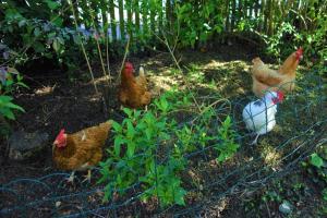 Gallery image of FeWo Jacob in Garlstorf