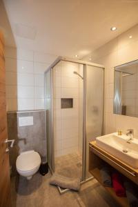 a bathroom with a shower and a toilet and a sink at Haus Küchelspitz in Ischgl