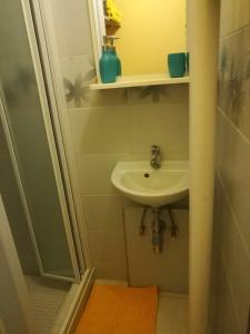 a small bathroom with a sink and a shower at Apartment Oltec in Bohunice
