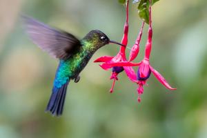 Gallery image of Casa Paxanax in Santa Cruz La Laguna