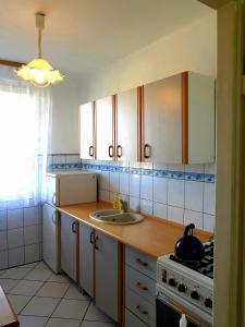 a kitchen with a sink and a stove at Apartament SIELANKA PARK in Łódź