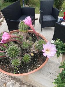 A garden outside Il girasole