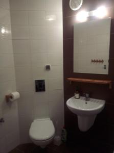 y baño con aseo, lavabo y espejo. en Apartamenty Arka Medical Spa **** en Kołobrzeg