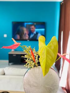 Afbeelding uit fotogalerij van L'ylang ylang in Petit-Bourg