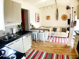 eine Küche und ein Wohnzimmer mit einem Waschbecken und einem Sofa in der Unterkunft The Little Red Shed in Russell