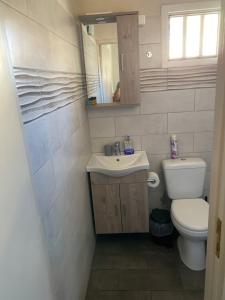 uma casa de banho com um WC, um lavatório e um espelho. em Casa Helen em Limín Iérakos