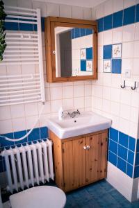 ein Badezimmer mit einem Waschbecken, einem WC und einem Spiegel in der Unterkunft U Mushera in Vrchlabí