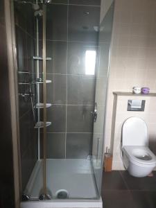 a bathroom with a shower and a toilet at Beautiful rooms at countryside Brussels in Halle