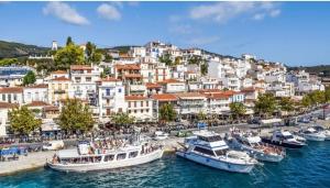Gallery image of Meltemi by Manthos Hotels in Skiathos Town