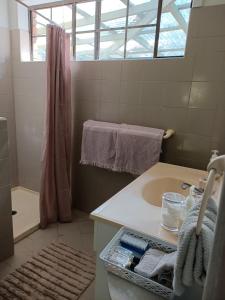 a bathroom with a sink and a shower at Charming country house close to Grafton in Waterview Heights