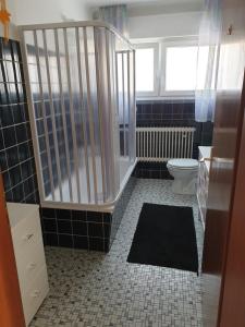 a bathroom with a shower and a toilet at Ferienwohnung Toge in Wadgassen